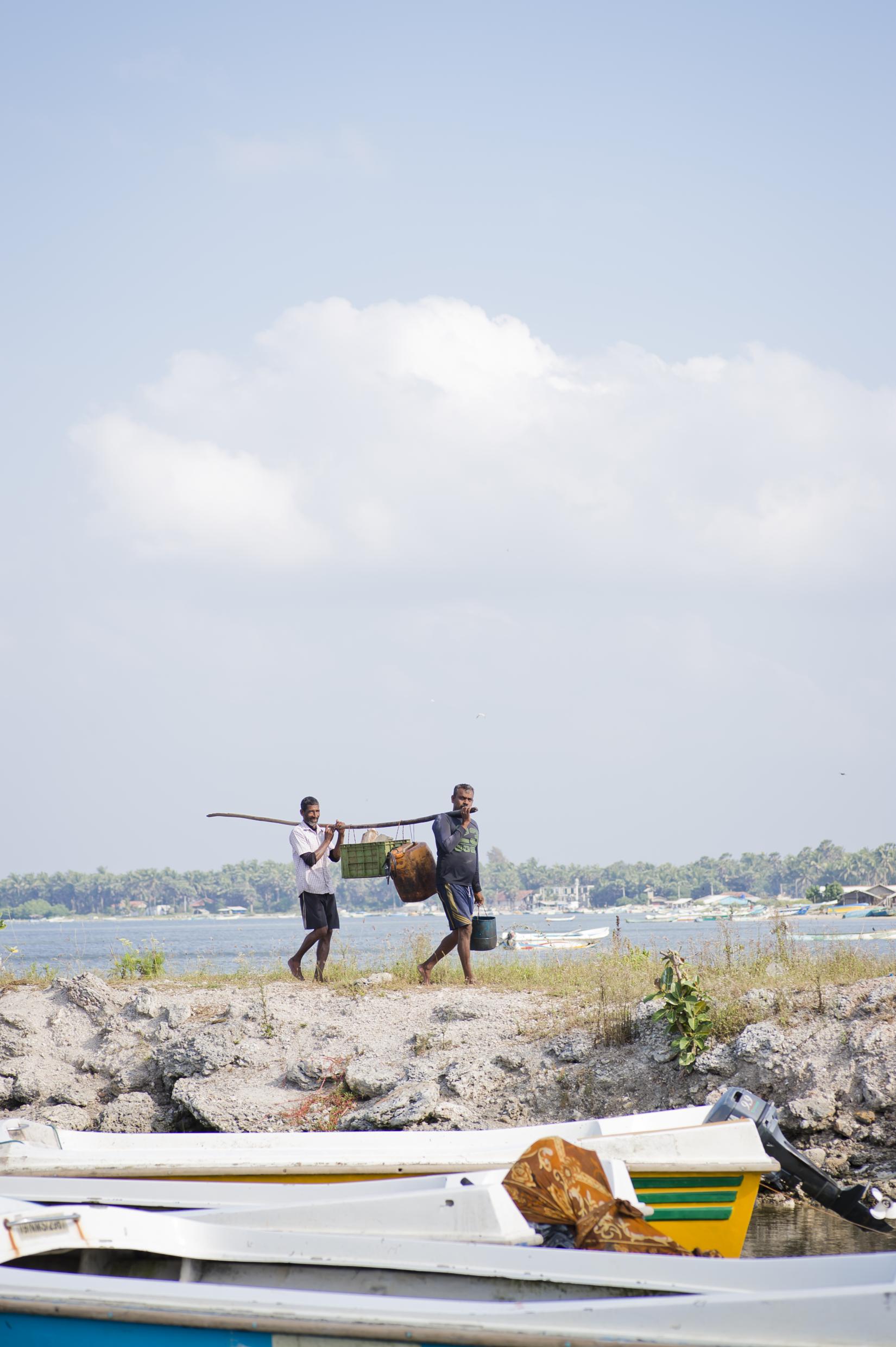 What are the Methods of Harvesting Fish for Food in Sri Lanka