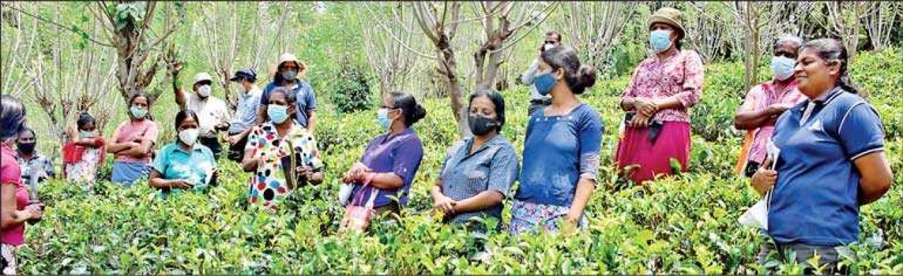 Smallholder tea growers at a training on Sustainable Land Management conducted through the Rehabilitation of Degraded Agricultural Lands Project